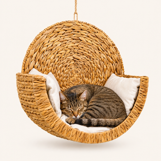 Purrfect Perch