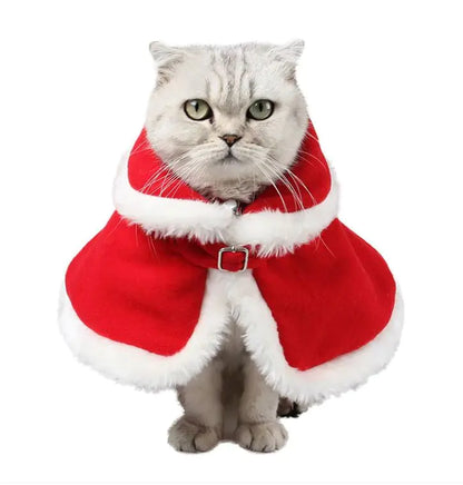 Christmas Cat Outfit